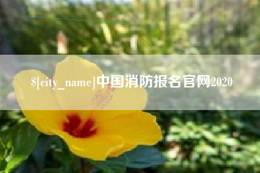 茌平中国消防报名官网2020
