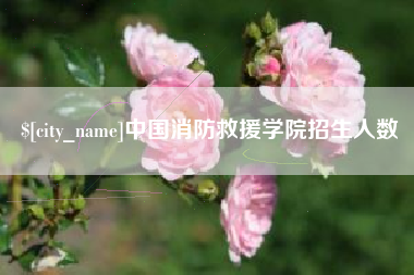 茌平中国消防救援学院招生人数