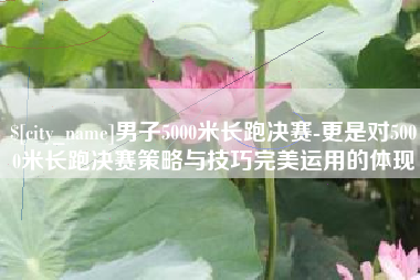 茌平男子5000米长跑决赛-更是对5000米长跑决赛策略与技巧完美运用的体现