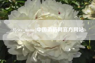 茌平中国消防网官方网站