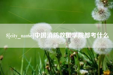 茌平中国消防救援学院都考什么