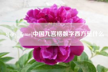 茌平中国九宫格数字西方是什么