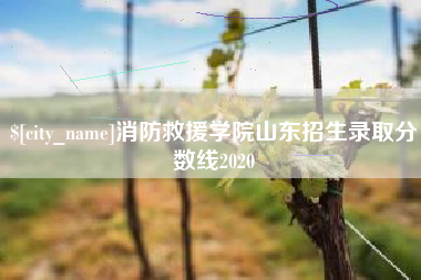 茌平消防救援学院山东招生录取分数线2020