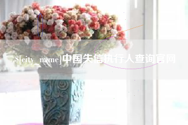 茌平中国失信执行人查询官网