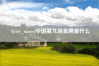 茌平中国第九块金牌是什么