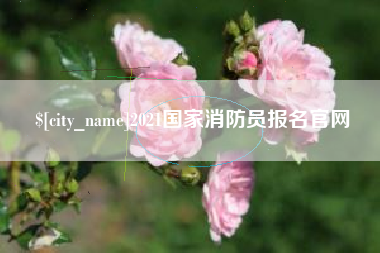 茌平2021国家消防员报名官网
