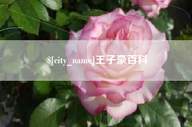 茌平王子豪百科