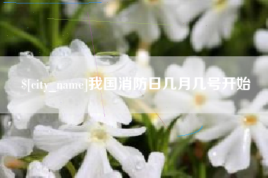 茌平我国消防日几月几号开始