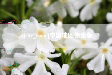 茌平中国地图像素版