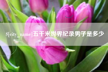 茌平五千米世界纪录男子是多少