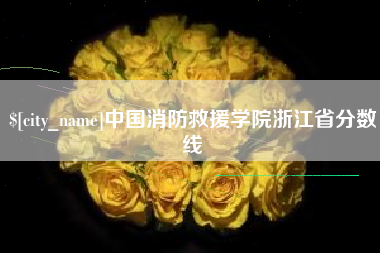 茌平中国消防救援学院浙江省分数线