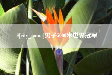 茌平男子5000米世界冠军