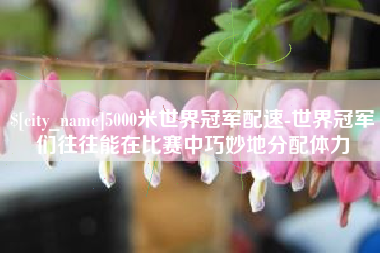 茌平5000米世界冠军配速-世界冠军们往往能在比赛中巧妙地分配体力