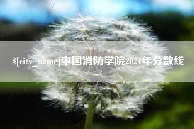 茌平中国消防学院2024年分数线