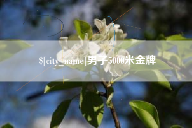 茌平男子5000米金牌
