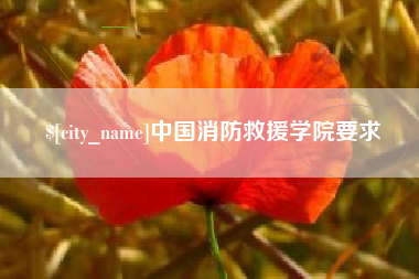 茌平中国消防救援学院要求