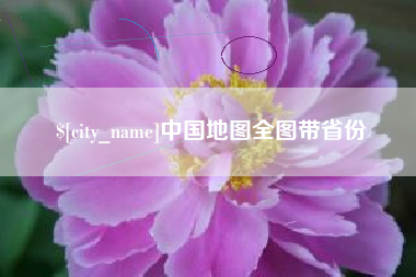 茌平中国地图全图带省份