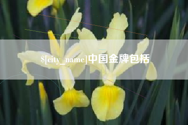 茌平中国金牌包括