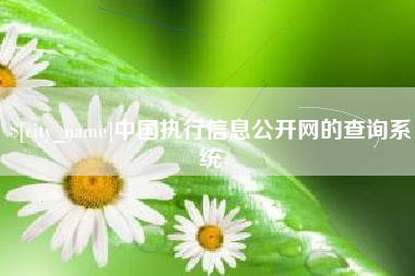 茌平中国执行信息公开网的查询系统