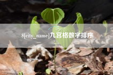 茌平九宫格数字排序