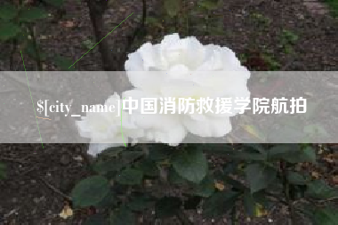 茌平中国消防救援学院航拍