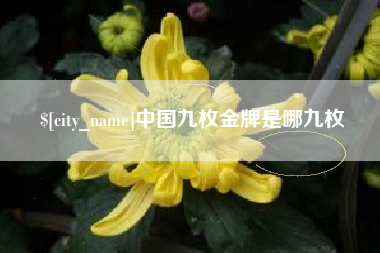茌平中国九枚金牌是哪九枚