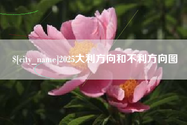 茌平2025大利方向和不利方向图