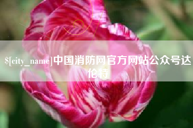 茌平中国消防网官方网站公众号达伦特