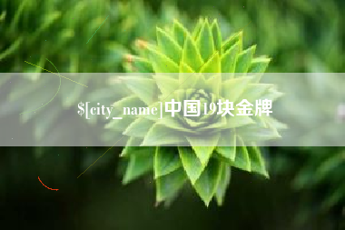 茌平中国19块金牌