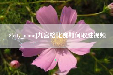 茌平九宫格比赛如何取胜视频