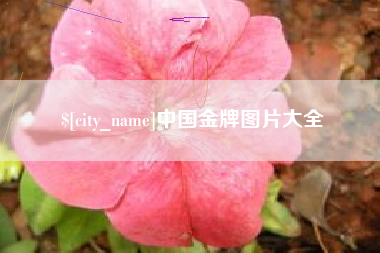 茌平中国金牌图片大全