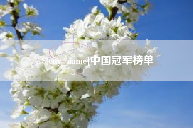 茌平中国冠军榜单