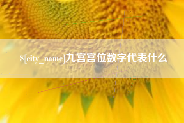 茌平九宫宫位数字代表什么