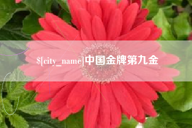 茌平中国金牌第九金
