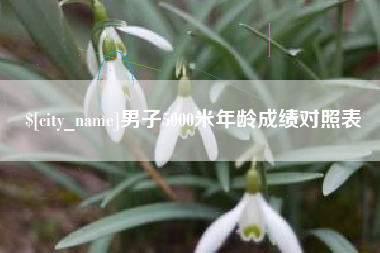 茌平男子5000米年龄成绩对照表