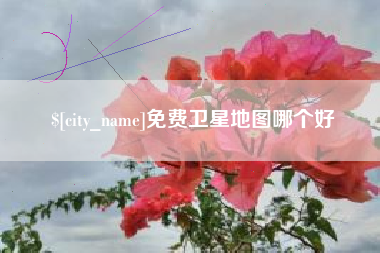 茌平免费卫星地图哪个好