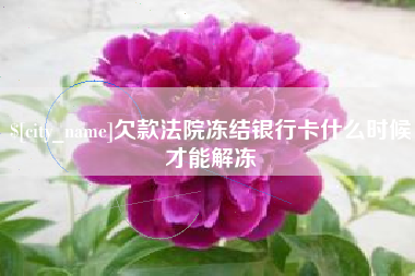 茌平欠款法院冻结银行卡什么时候才能解冻