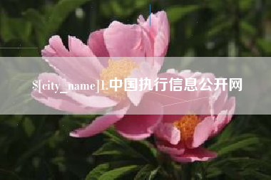 茌平1.中国执行信息公开网