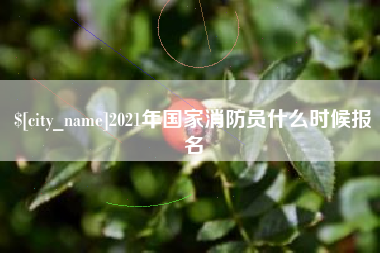 茌平2021年国家消防员什么时候报名