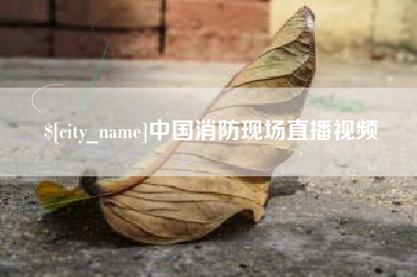 茌平中国消防现场直播视频