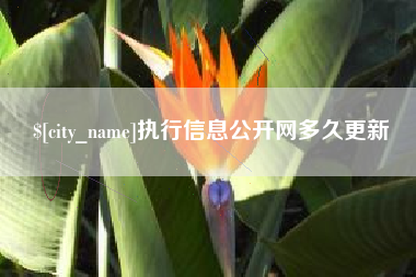 茌平执行信息公开网多久更新