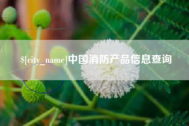 茌平中国消防产品信息查询
