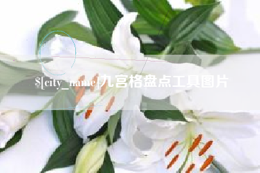 茌平九宫格盘点工具图片