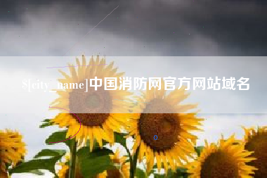 茌平中国消防网官方网站域名