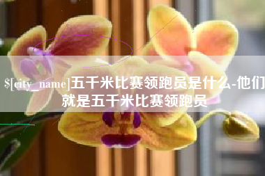 茌平五千米比赛领跑员是什么-他们就是五千米比赛领跑员