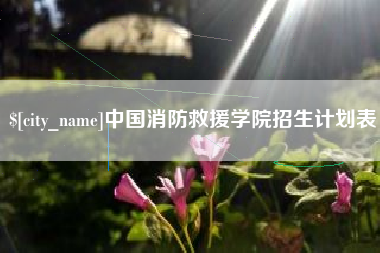 茌平中国消防救援学院招生计划表