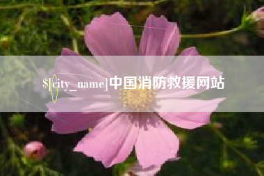茌平中国消防救援网站
