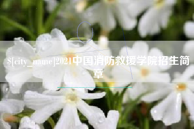 茌平2021中国消防救援学院招生简章