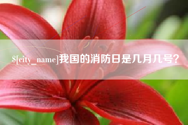 茌平我国的消防日是几月几号？