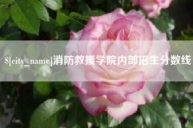 茌平消防救援学院内部招生分数线